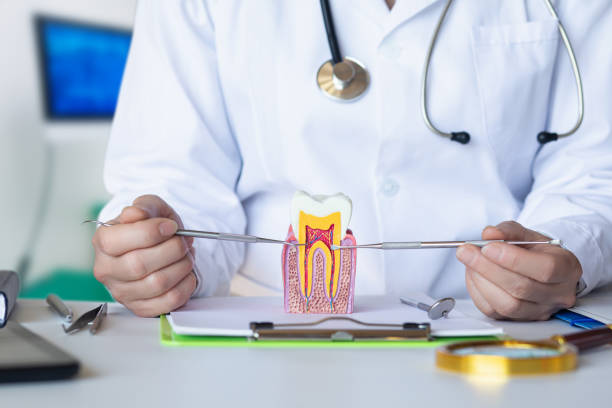 Best Knocked-Out Tooth (Avulsed Tooth) Treatment in Bunker Hill, OR